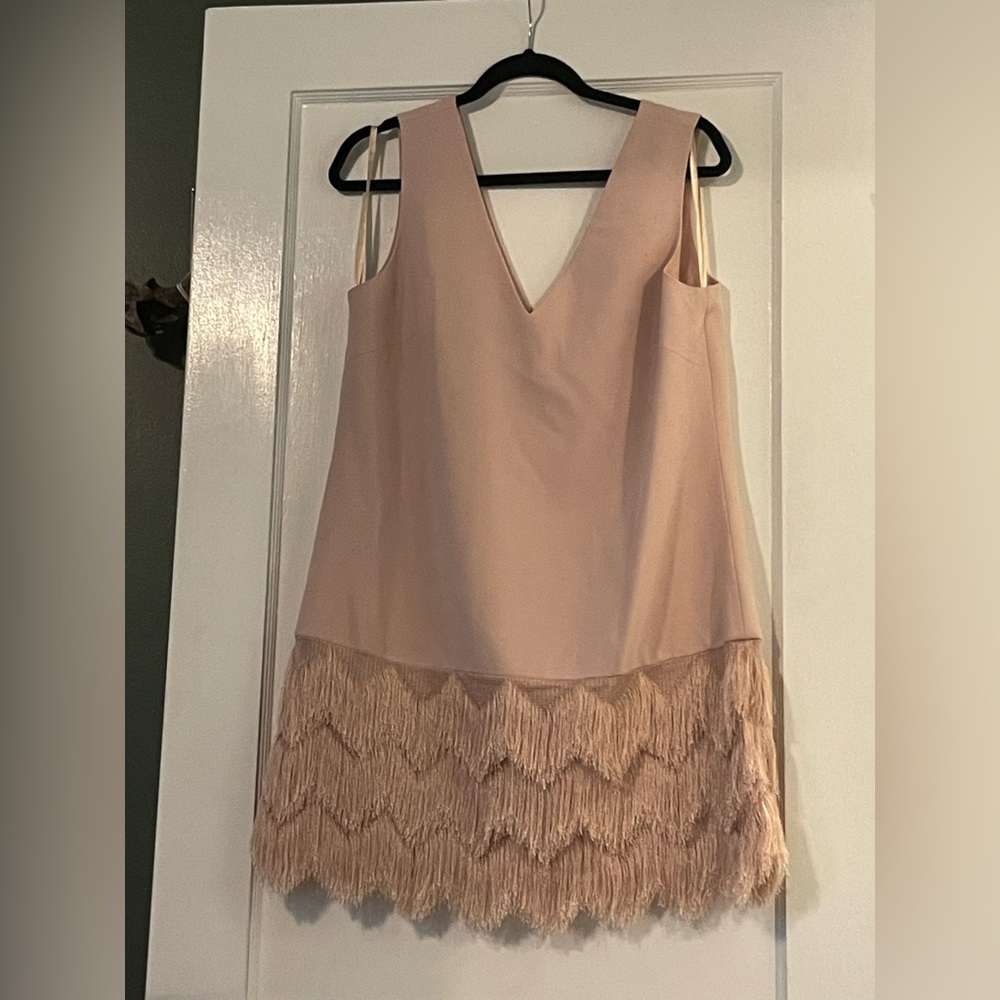 Bcbgmaxazria Addilyn Dress with Fringe Detail Size 10 - Picture 9 of 9